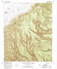 Bland 1953 topographic map thumbnail
