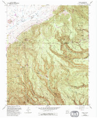 Bland 1953 topographic map thumbnail