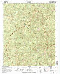 Blue Mountain 1995 topographic map thumbnail