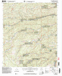Bluff Springs 2004 topographic map thumbnail