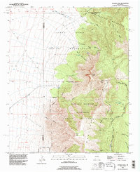 Bosque Peak 1991 topographic map thumbnail