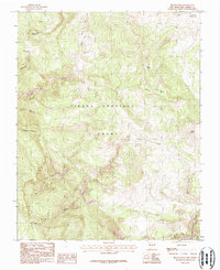 Brazos Peak 1983 topographic map thumbnail