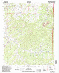Bread Springs 1995 topographic map thumbnail