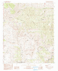 Brushy Mountain 1990 topographic map thumbnail