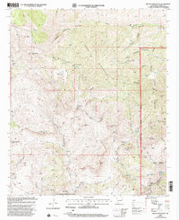 Brushy Mountain 1999 topographic map thumbnail