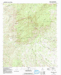 Burro Peak 1992 topographic map thumbnail