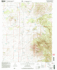 Lone Mountain 2004 topographic map thumbnail