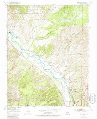 Medanales 1953 topographic map thumbnail
