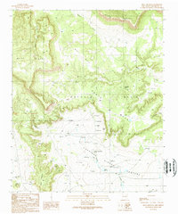 Mesa Cencerro 1989 topographic map thumbnail