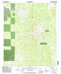 Mesa Cencerro 1995 topographic map thumbnail