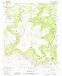 Mesa Gigante 1957 topographic map preview