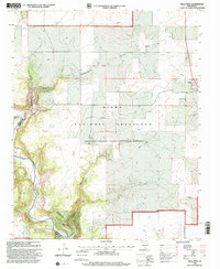 Mills West 1998 topographic map thumbnail