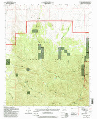 Monica Saddle 1995 topographic map thumbnail