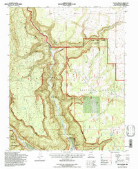 Navajo Peak 1995 topographic map thumbnail