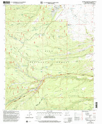 Negrito Mountain 1999 topographic map thumbnail