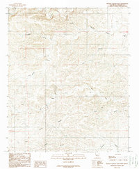 Nelson Canyon East 1988 topographic map thumbnail