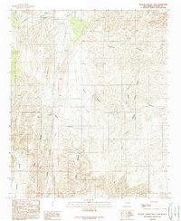 Nelson Canyon West 1989 topographic map thumbnail