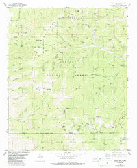 Nogal Peak 1982 topographic map thumbnail
