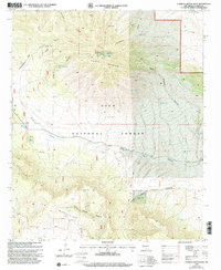 O Bar O Canyon West 1999 topographic map thumbnail