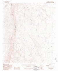 Palomas Gap 1985 topographic map thumbnail