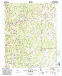 Pine Lake 1995 topographic map thumbnail