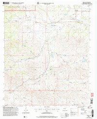 Pinon 2004 topographic map thumbnail