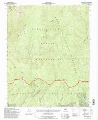 Pueblo Peak 1995 topographic map thumbnail