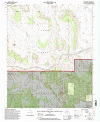 Puertecito 1995 topographic map thumbnail