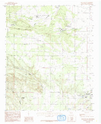 Punta De Agua 1986 topographic map thumbnail