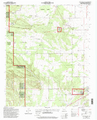 Punta De Agua 1995 topographic map thumbnail