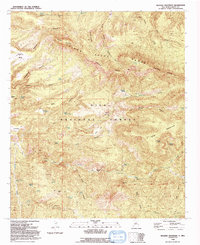 Reading Mountain 1992 topographic map thumbnail