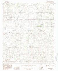 Remuda Basin 1985 topographic map thumbnail