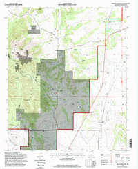Rough Mountain 1995 topographic map thumbnail