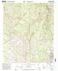 Saliz Pass 1999 topographic map thumbnail