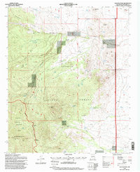 San Juan Peak 1995 topographic map thumbnail