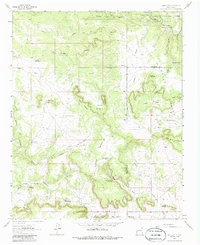 San Juan 1963 topographic map thumbnail