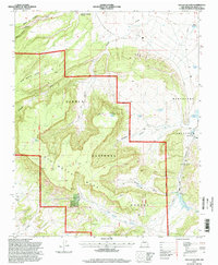 San Lucas Dam 1995 topographic map thumbnail