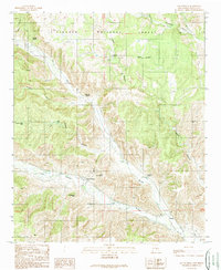 San Patricio 1989 topographic map thumbnail