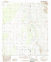 San Simon Cienega 1987 topographic map thumbnail