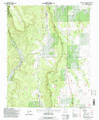 Servilleta Plaza 1995 topographic map thumbnail