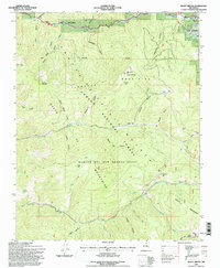 Shady Brook 1995 topographic map thumbnail