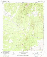 Silver Hill 1964 topographic map thumbnail