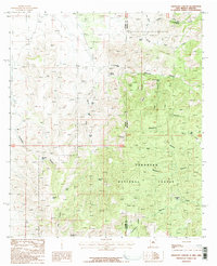 Skeleton Canyon 1987 topographic map thumbnail