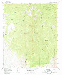 South Baldy 1965 topographic map thumbnail