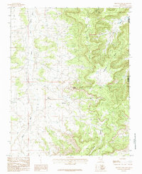 Thompson Mesa 1985 topographic map thumbnail
