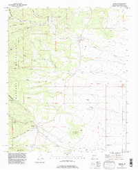 Torreon 1991 topographic map thumbnail