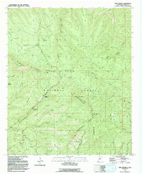 Twin Sisters 1992 topographic map thumbnail
