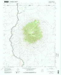 Ute Mountain 1963 topographic map thumbnail