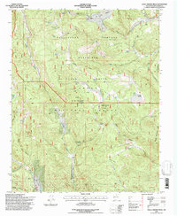 Valle Grande Peak 1995 topographic map thumbnail