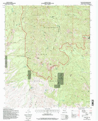 Vicks Peak 1995 topographic map thumbnail